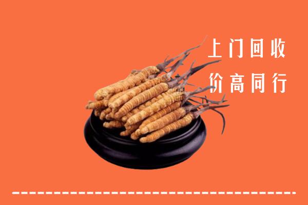 高价求购：郑州市回收散虫草