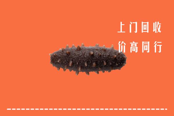 高价求购：郑州市回收海参