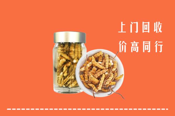 郑州市高价回收冬虫夏草